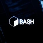 Bash shell