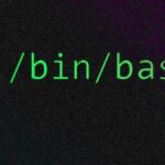 Bash scrpiting shebang.