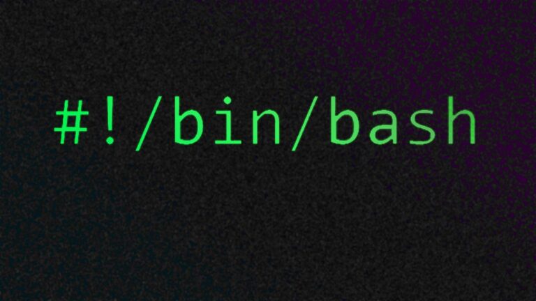 Bash scrpiting shebang.