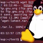 Linux and Tux.