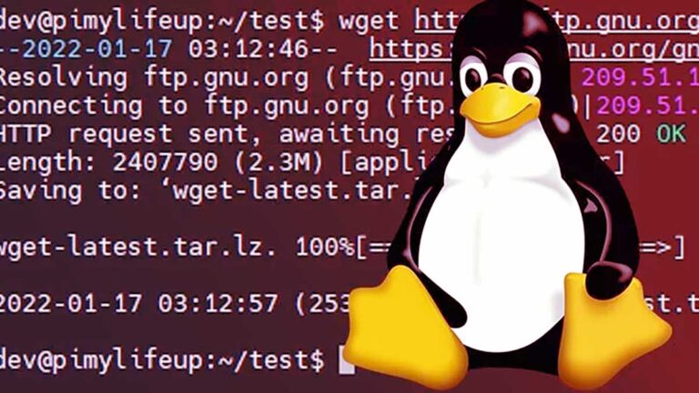 Linux and Tux.