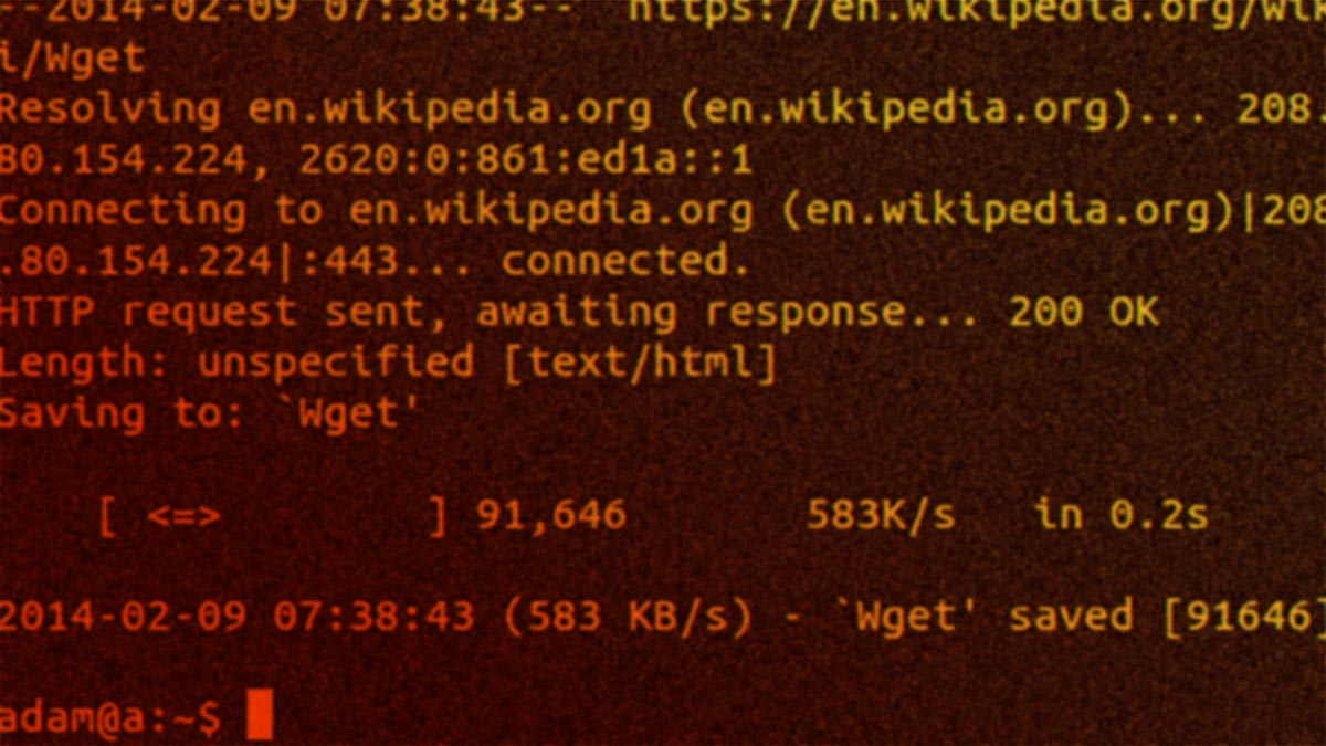 Wget screenshot.